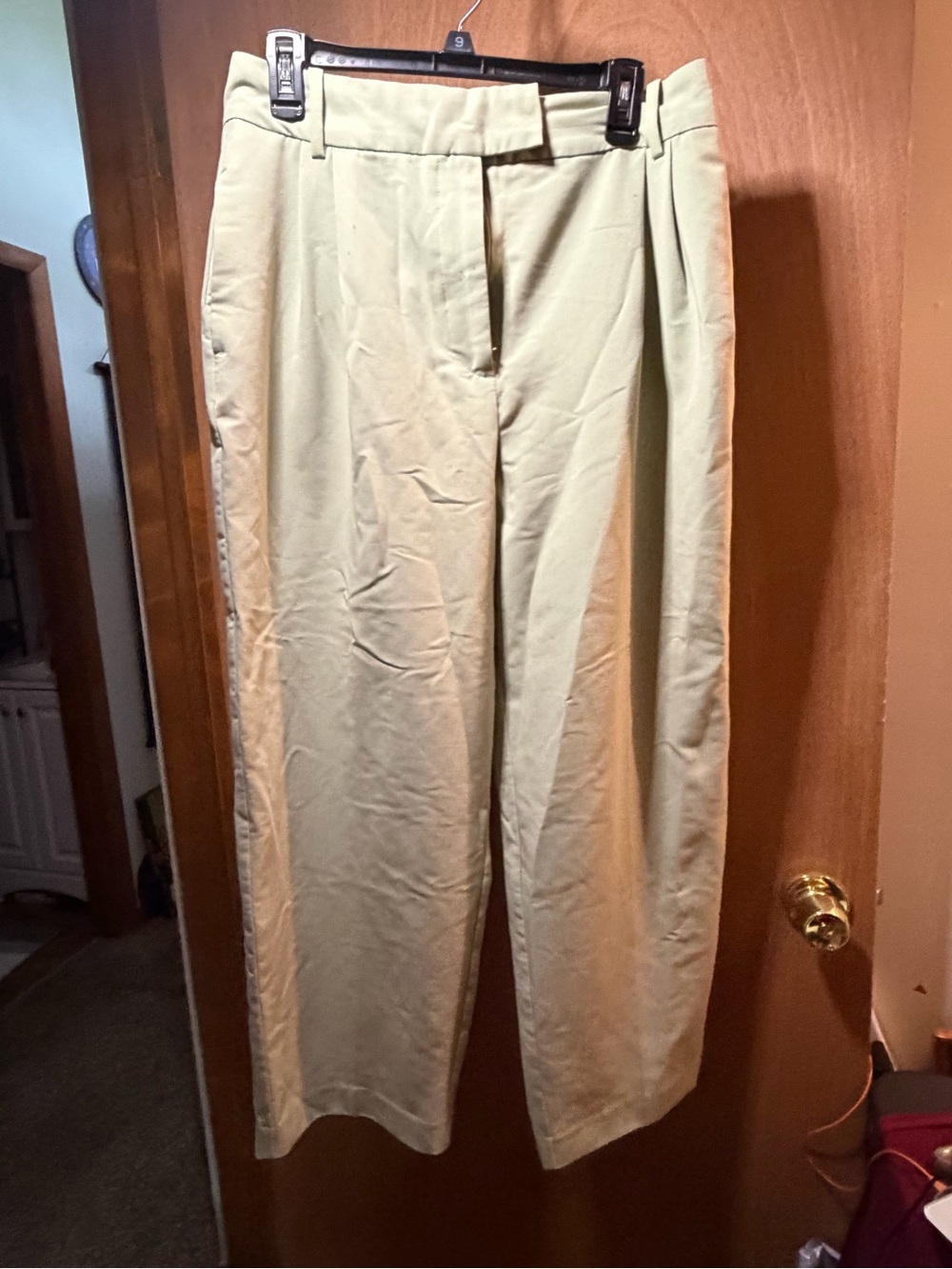 Zara woman’s  Classic Straight-Leg Dress Pants in Light Green